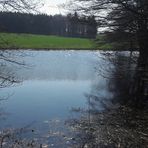 Spiegeltag: Frühjahrslicht und Frühjahrsschatten auf "meinem "Lernschwimmteich