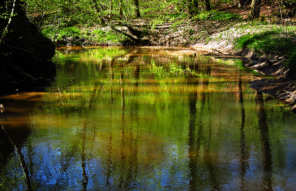 Spiegeltag: Frühlingssonne am Halbmuehlbach