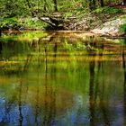 Spiegeltag: Frühlingssonne am Halbmuehlbach