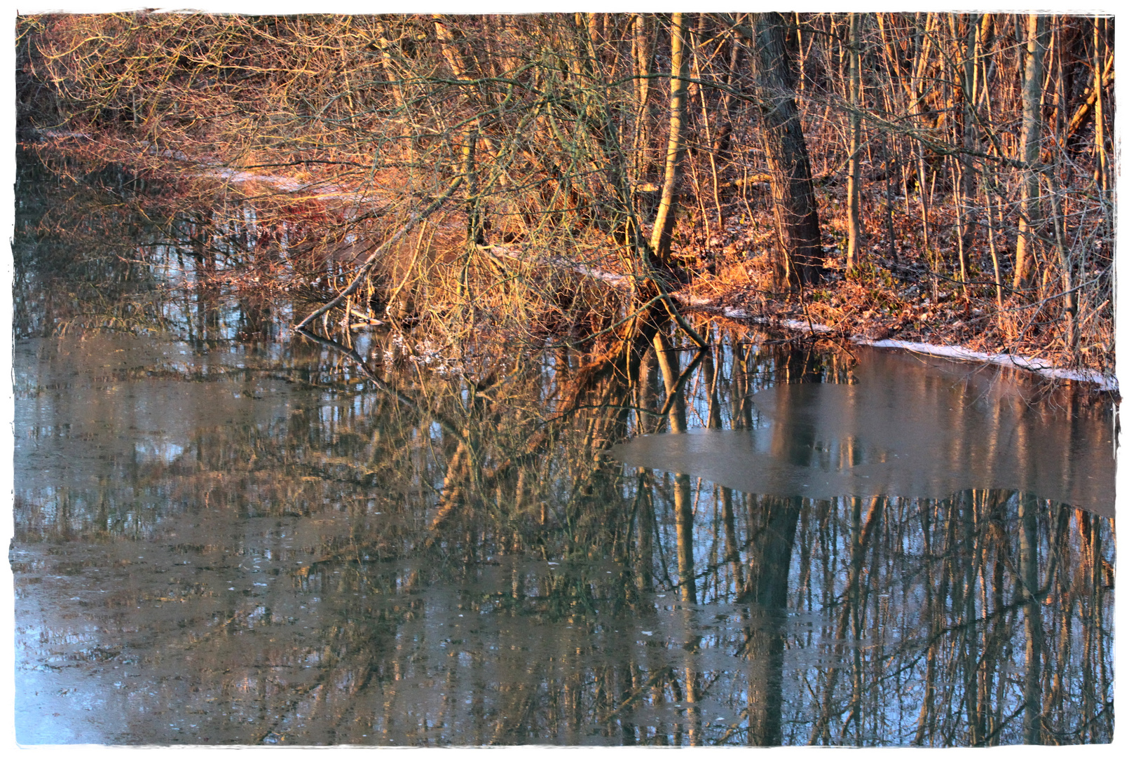 Spiegeltag für Naturliebhaber