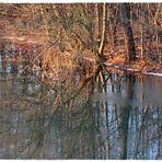 Spiegeltag für Naturliebhaber