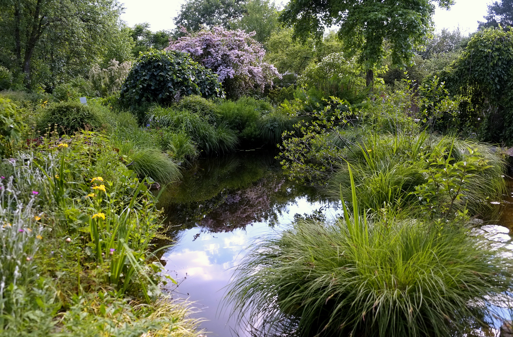 *Spiegeltag*  -  Gartenspiegel