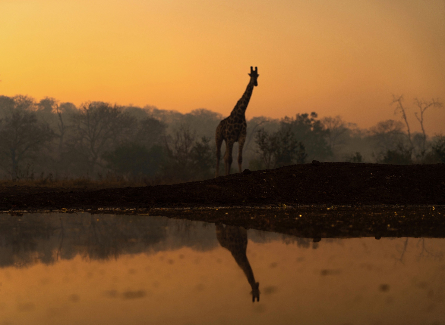 Spiegeltag: Good Morning Africa