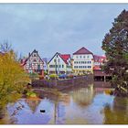 Spiegeltag- Herbst an der Pegnitz