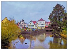 Spiegeltag- Herbst an der Pegnitz