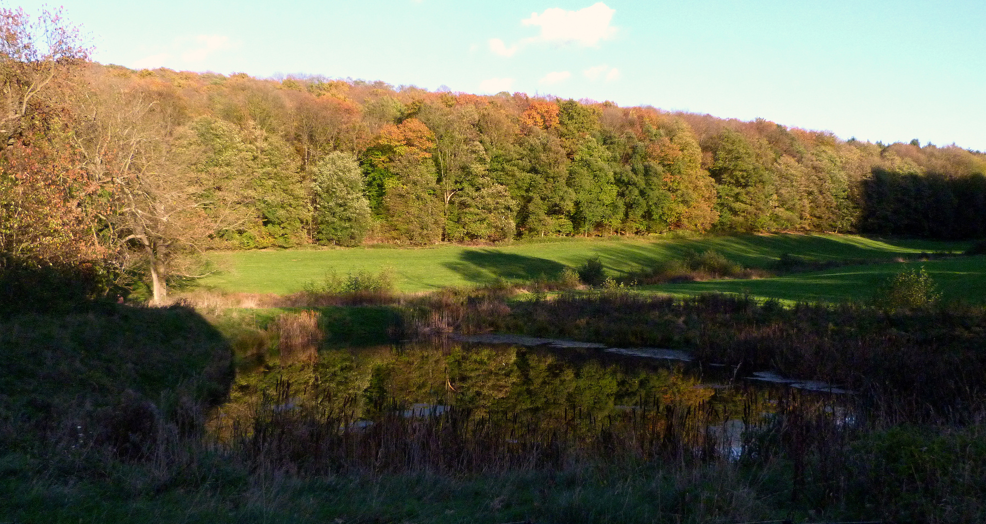 *Spiegeltag*  -  Herbstspiegel