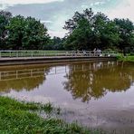 Spiegeltag - Hochwasser 