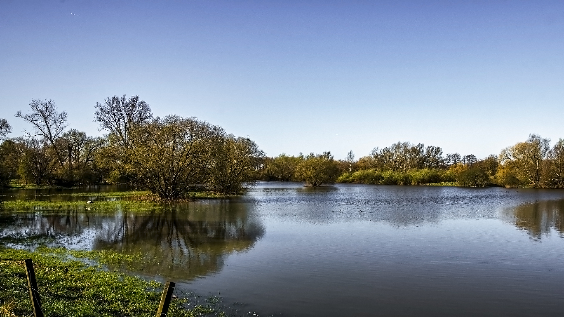 Spiegeltag - Hochwasser