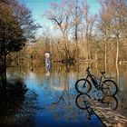 Spiegeltag - Hochwasser - Stockstadt am Rhein 