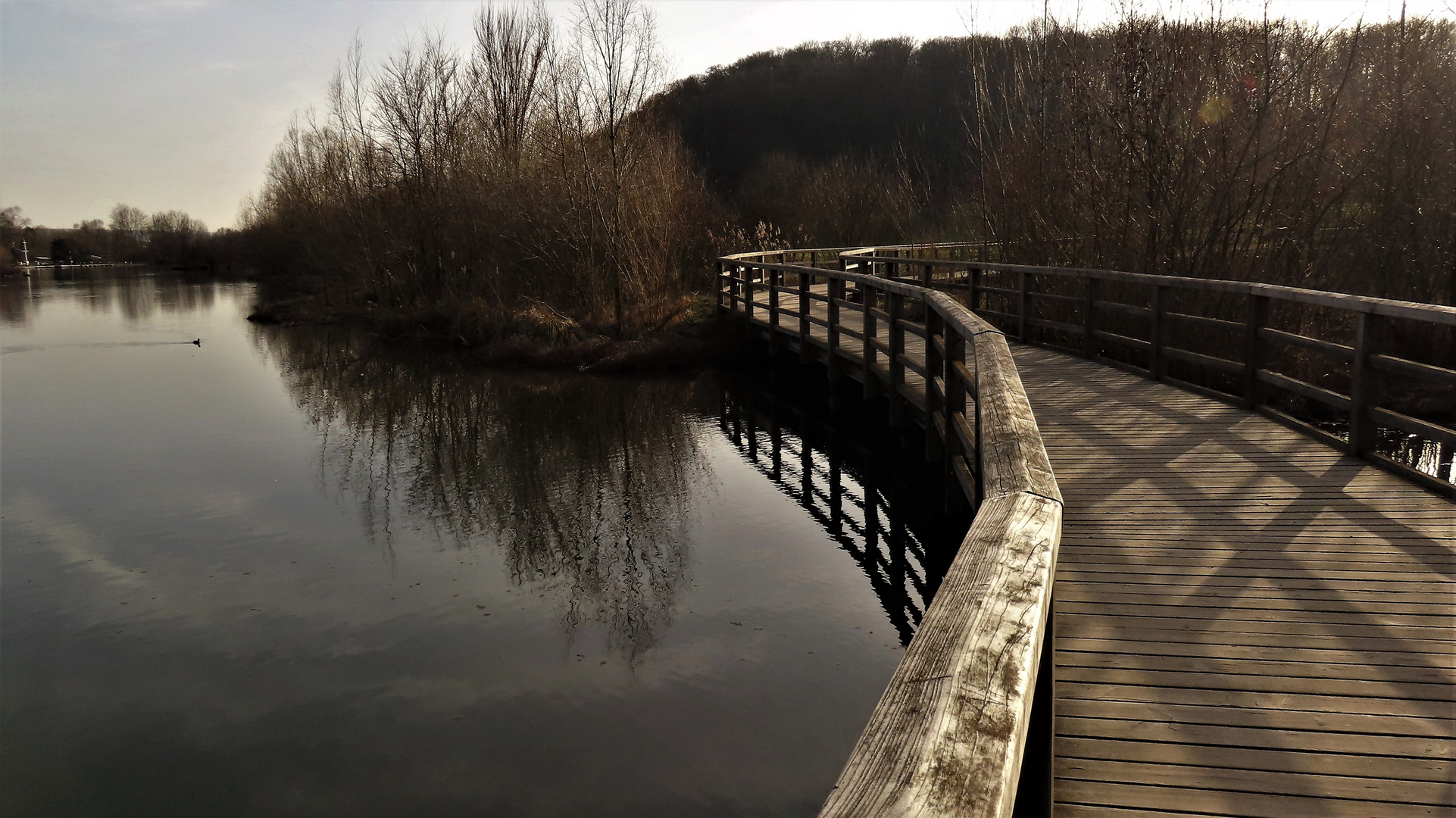 Spiegeltag/ Holzbrücke