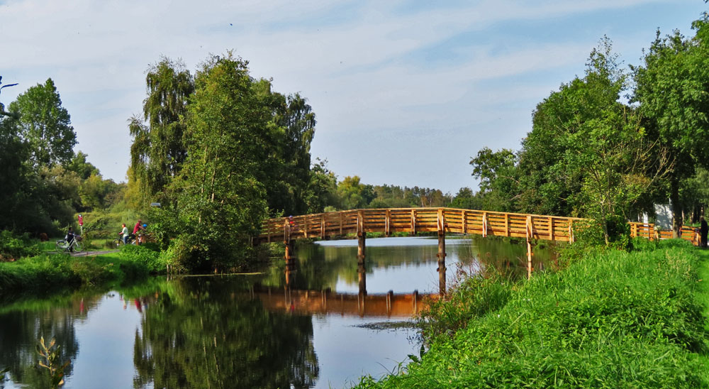 Spiegeltag: Holzbrücke in der Nähe von Steinhude