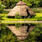 Spiegeltag - Hütte mit Pfau