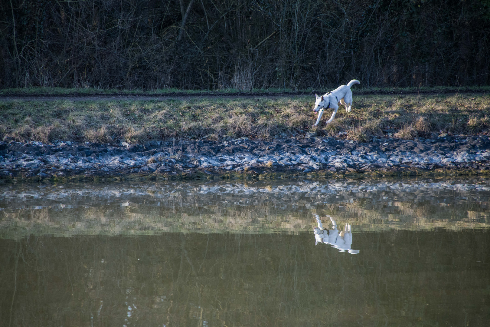 Spiegeltag - ich habe Durst