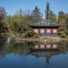 Spiegeltag - im Asiatischen Garten in der Nähe von Bruchsal