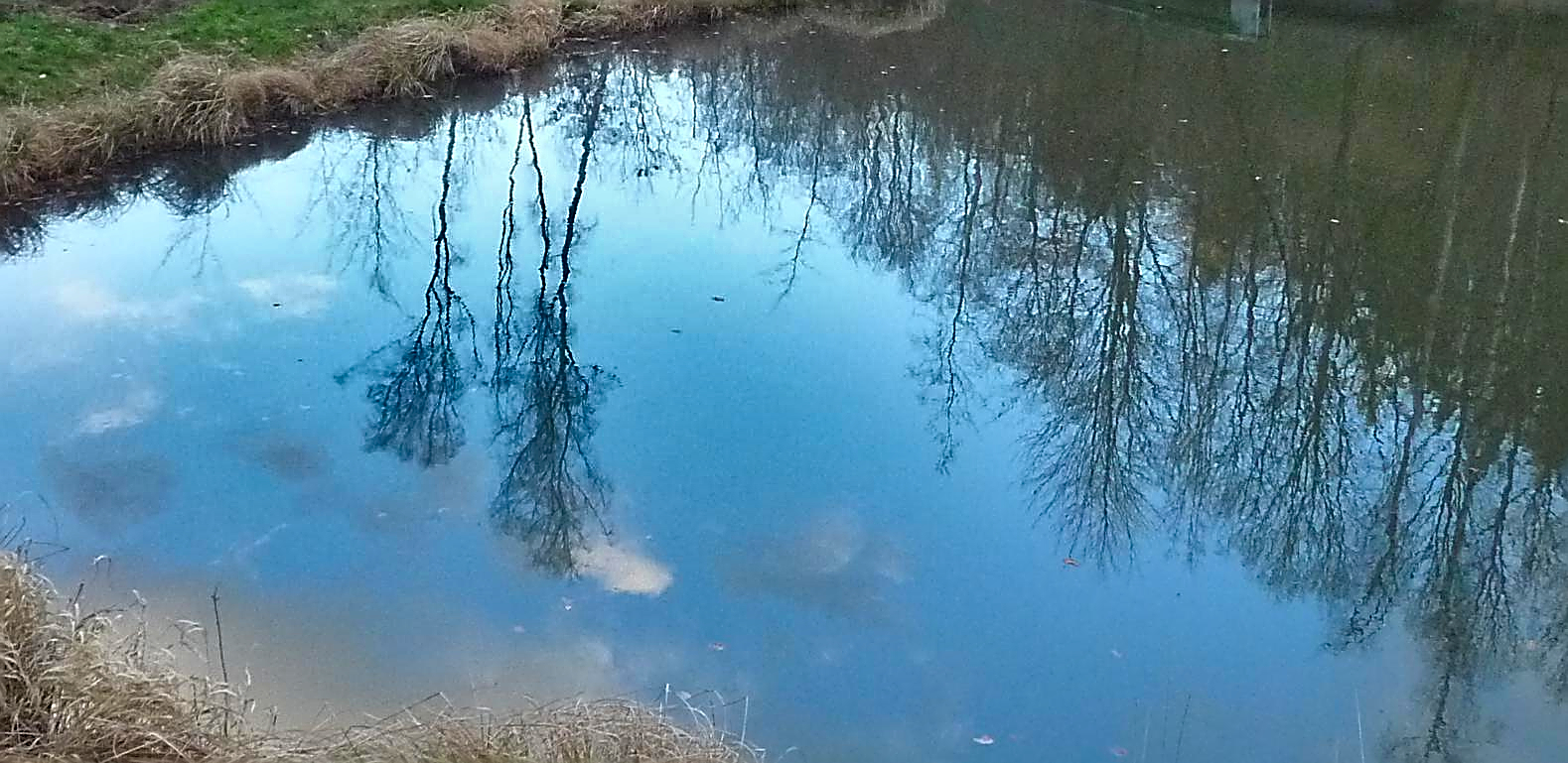 Spiegeltag im Brauersgrund