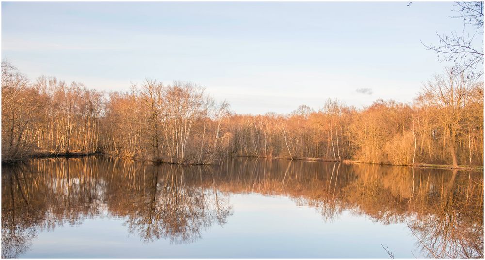 Spiegeltag im Moor