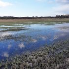 Spiegeltag: Im Naturschutzgebiet...