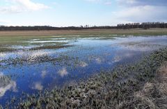 Spiegeltag: Im Naturschutzgebiet...