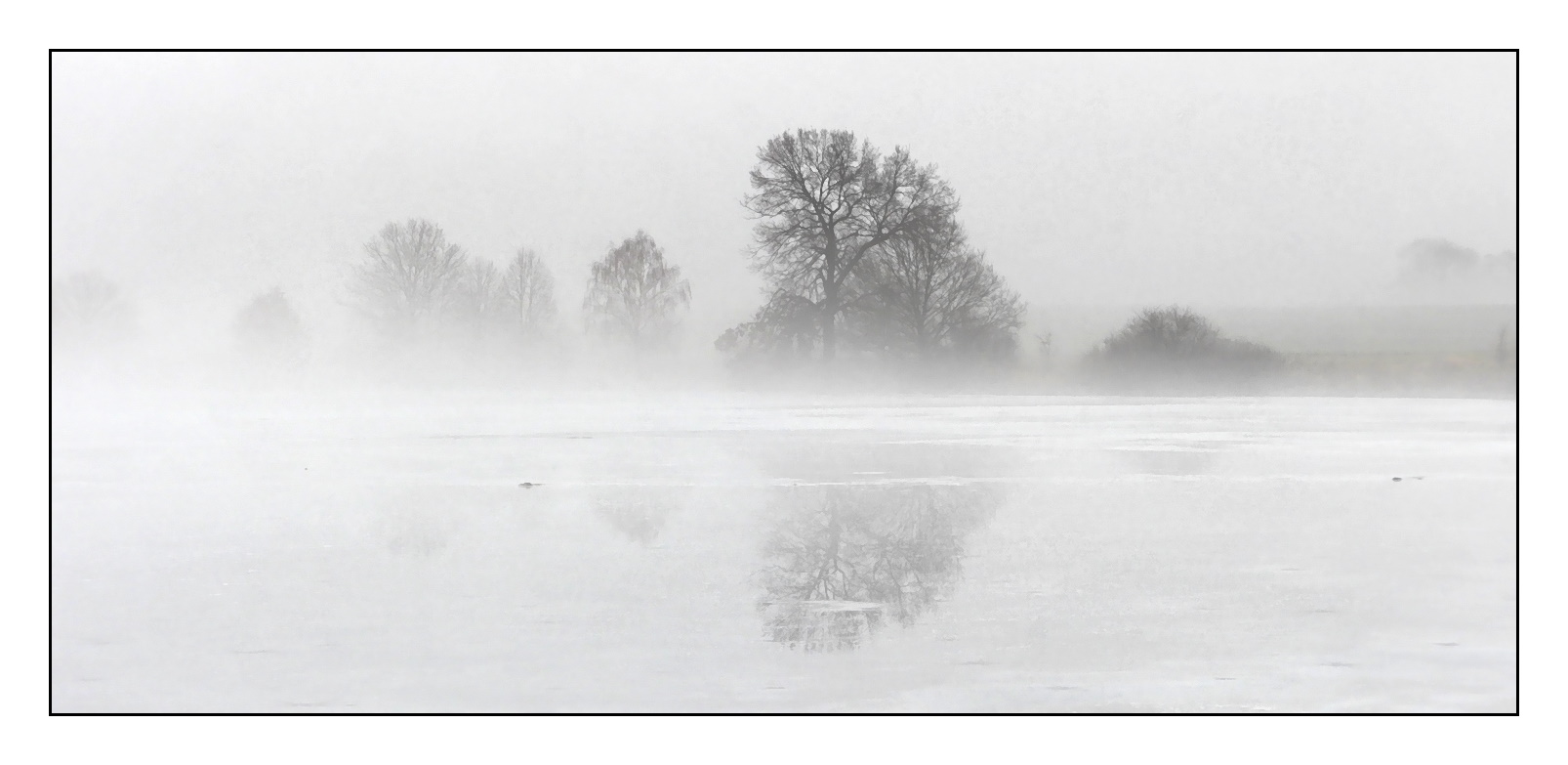 Spiegeltag im Nebel