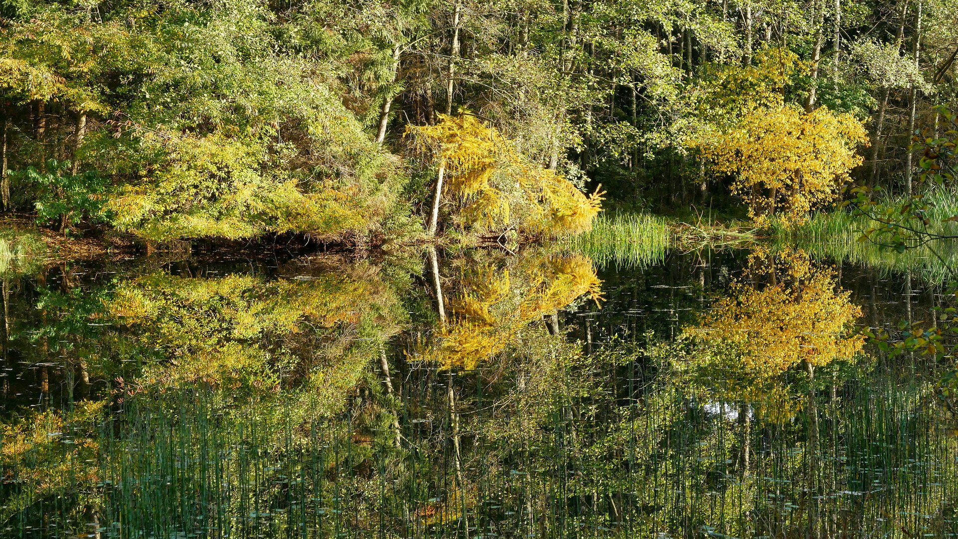 Spiegeltag im Oktober in Hermannsburg 