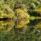 Spiegeltag im Oktober in Hermannsburg 