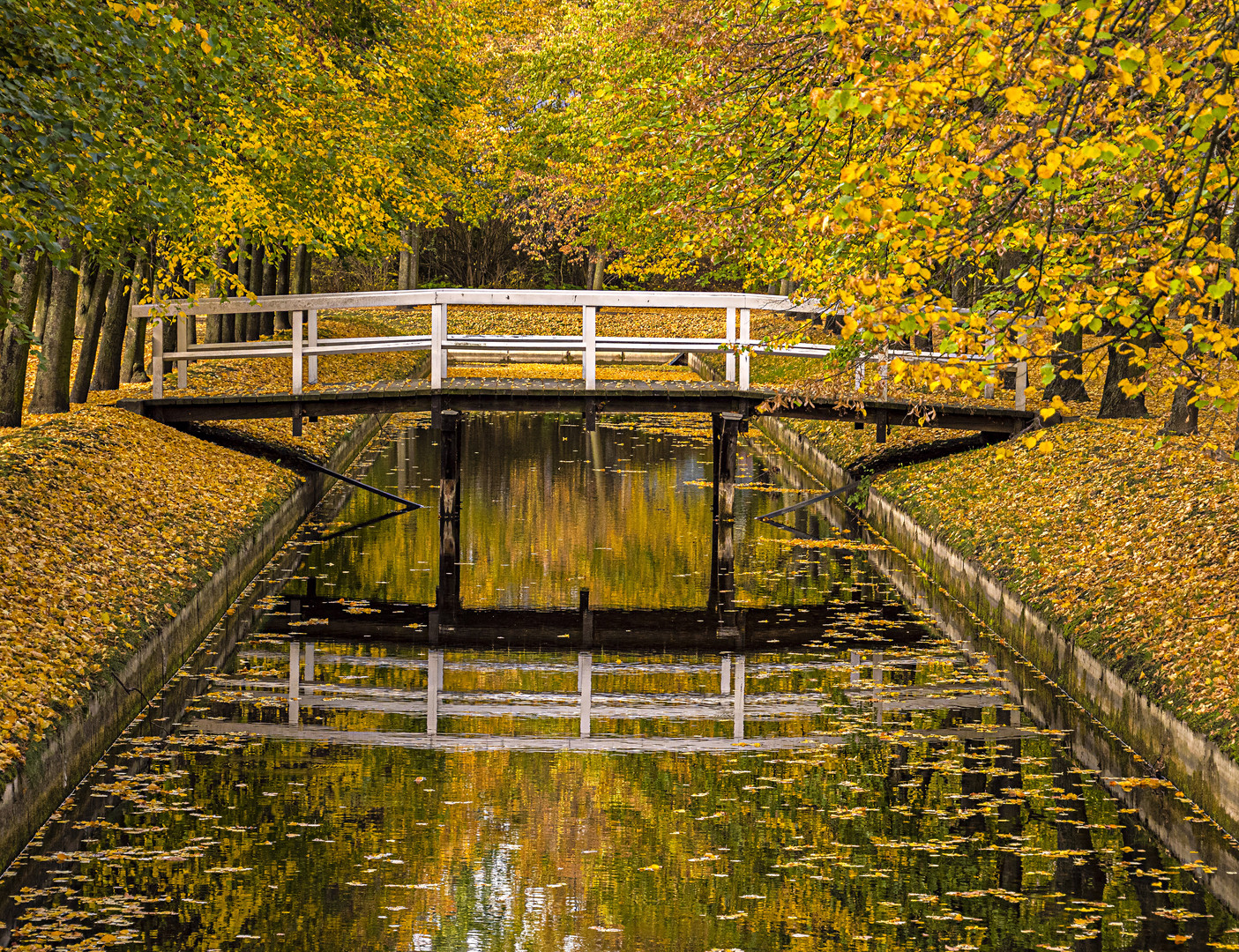 Spiegeltag - im Park 1