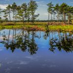 Spiegeltag - Im Pietzmoor