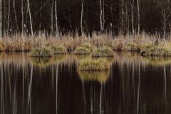 Spiegeltag im Schwenninger Moos