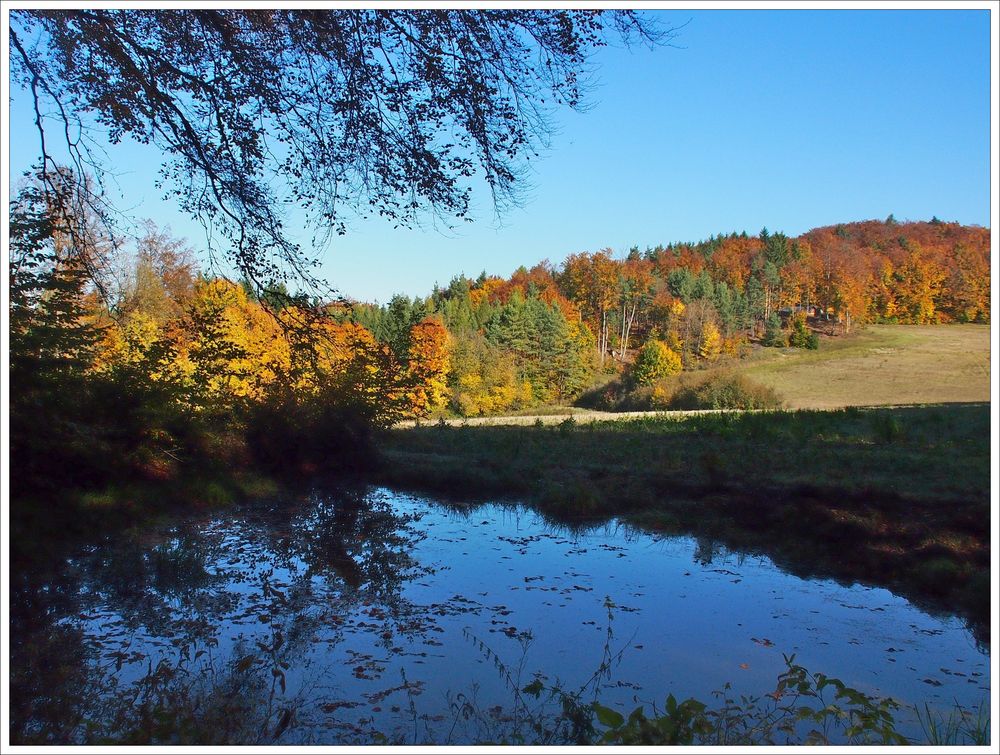 Spiegeltag im Trubachtal