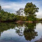 Spiegeltag - Insel in der Lippe