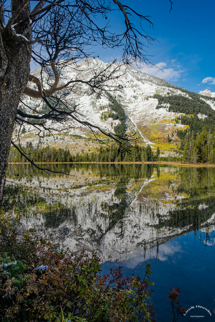 Spiegeltag: Jenny Lake, Wyoming