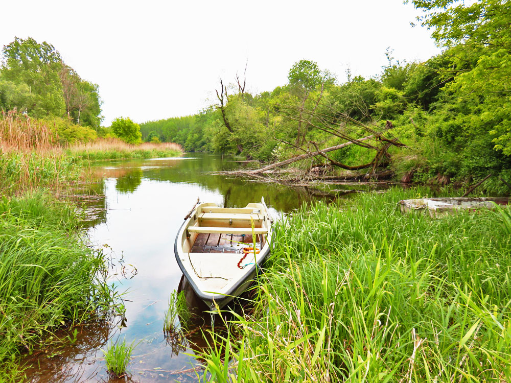 Spiegeltag: Kanal an der Donau...