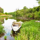 Spiegeltag: Kanal an der Donau...