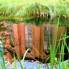 Spiegeltag- Kirche im Teich gespiegelt