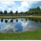 Spiegeltag- Kleine Fontäne im Teich und Bäume