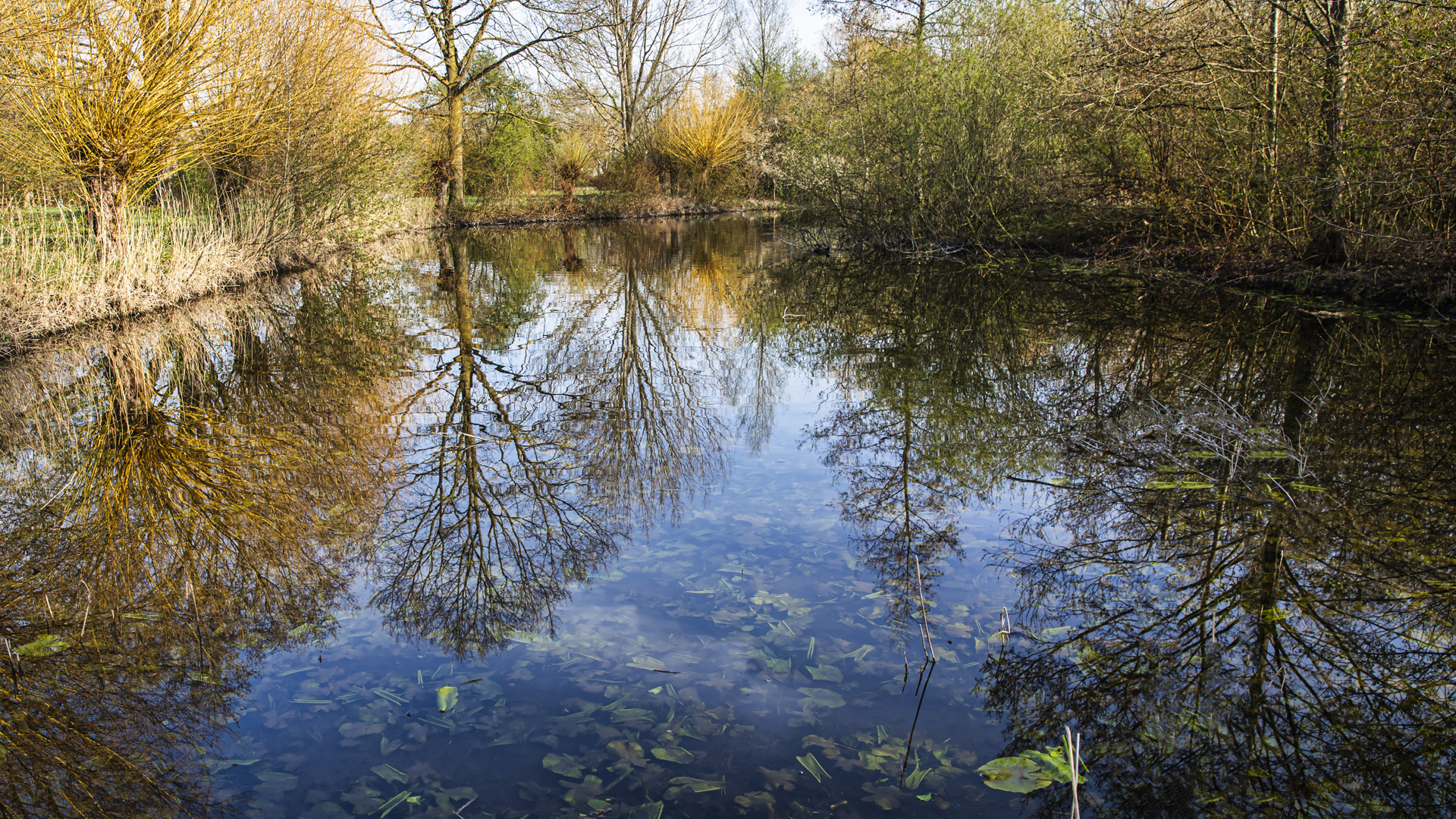 Spiegeltag - Kleiner Teich