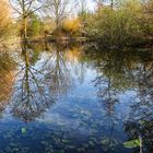 Spiegeltag - Kleiner Teich