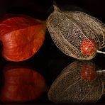 Spiegeltag ;-)) Lampionblume - Physalis