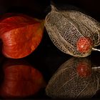 Spiegeltag ;-)) Lampionblume - Physalis