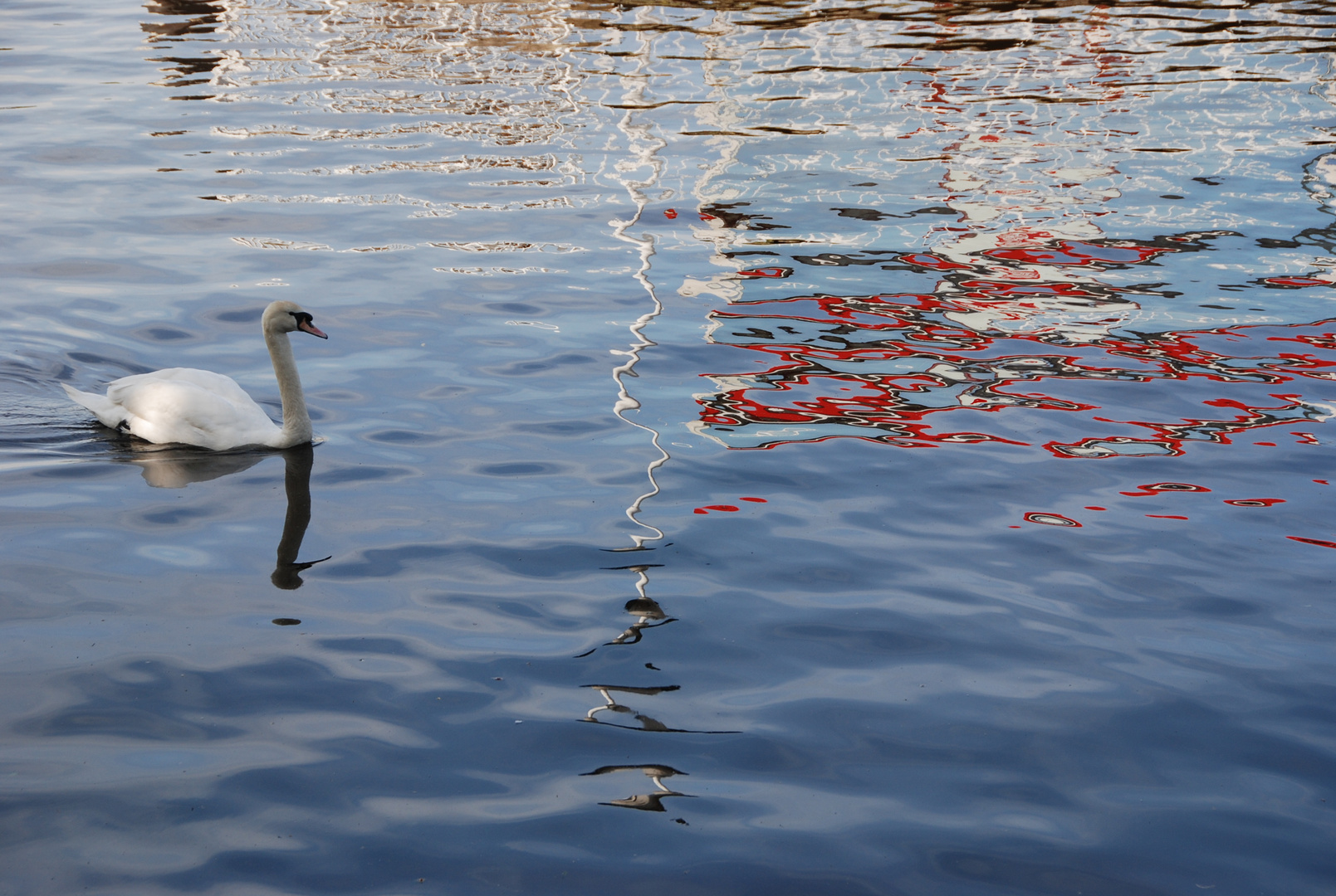 Spiegeltag: Mein lieber Schwan in Aquacolor . . .