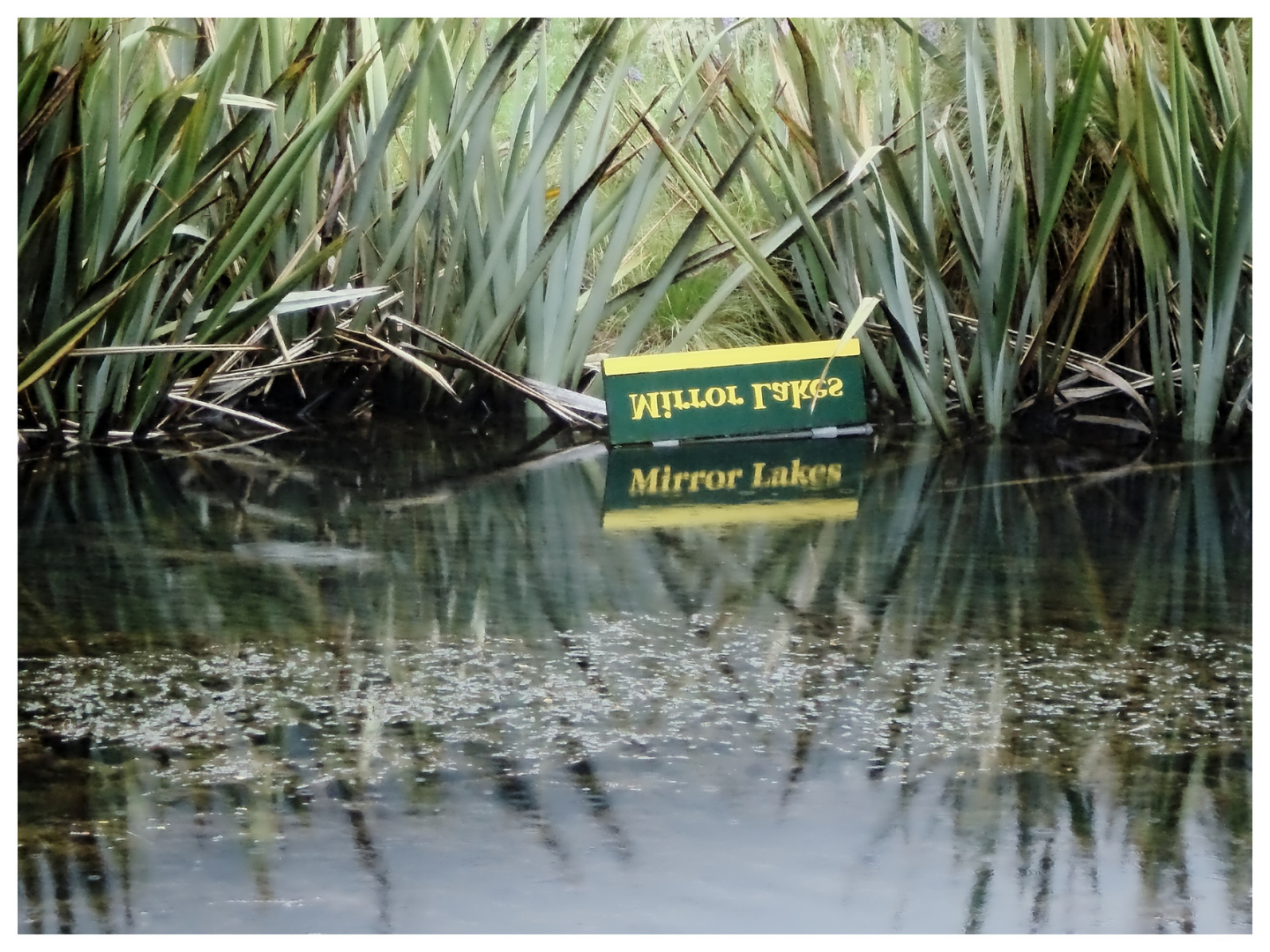 Spiegeltag-Mirror Lake (Neuseeland, Südinsel) 2008