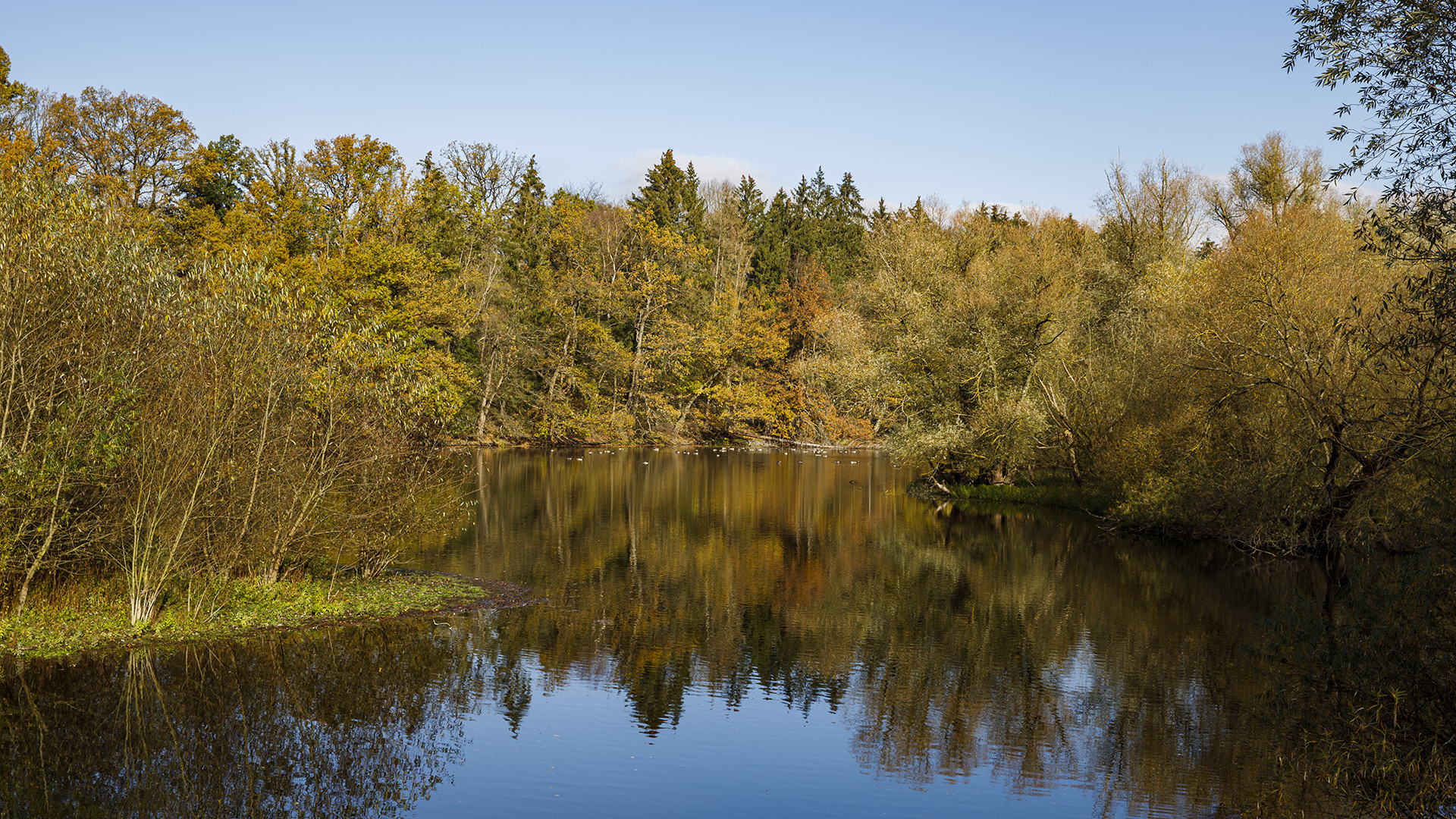 Spiegeltag - Möhnesee