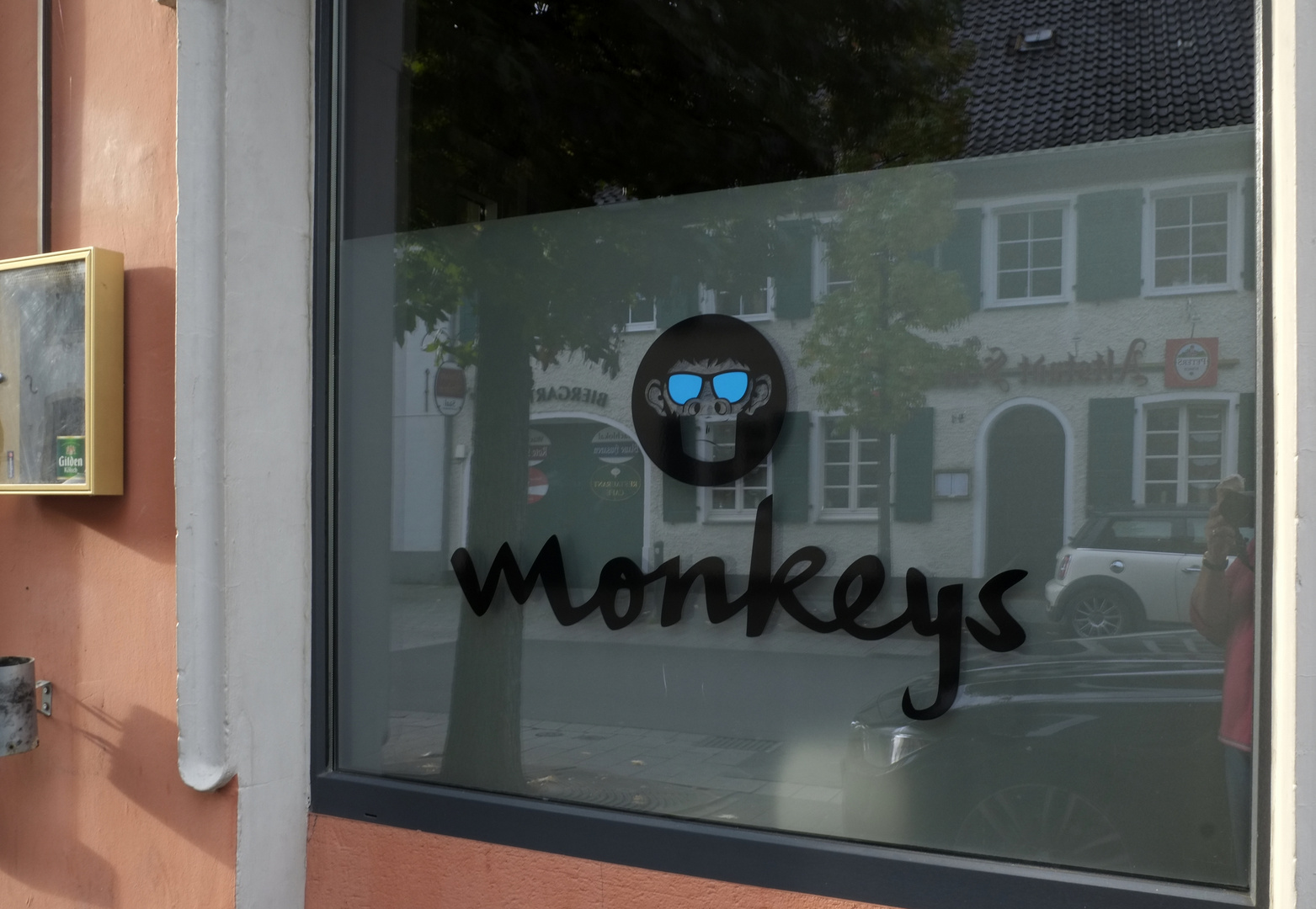 *Spiegeltag*  - monkeys