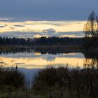 Spiegeltag: Moorlandschaft im November