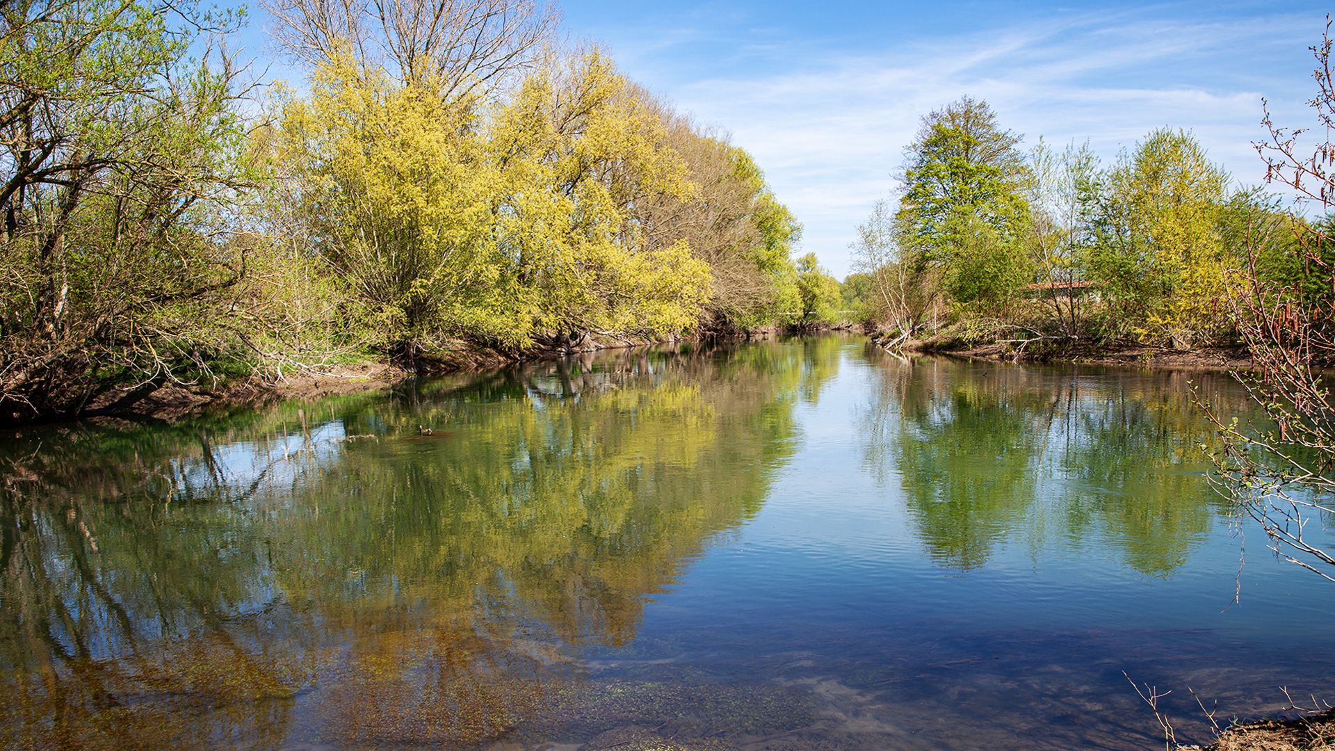 Spiegeltag - Motiv an der Lippe