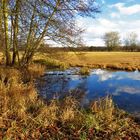 Spiegeltag: Naturschutzgebiet Mönchbruch