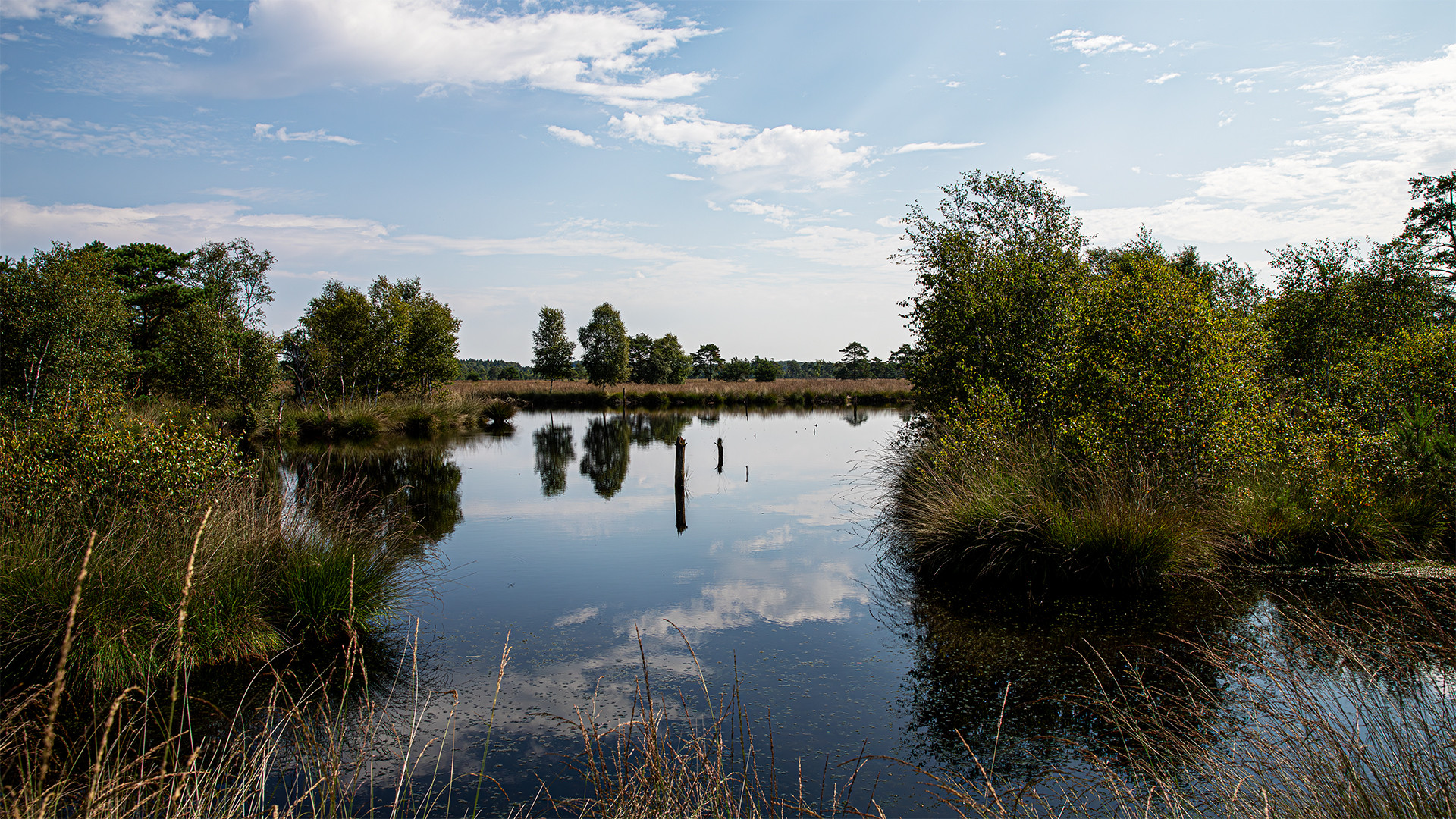 Spiegeltag - Pietzmoor