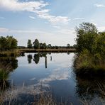 Spiegeltag - Pietzmoor