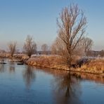 Spiegeltag - Rauhreif an der Lippe