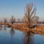 Spiegeltag - Rauhreif an der Lippe